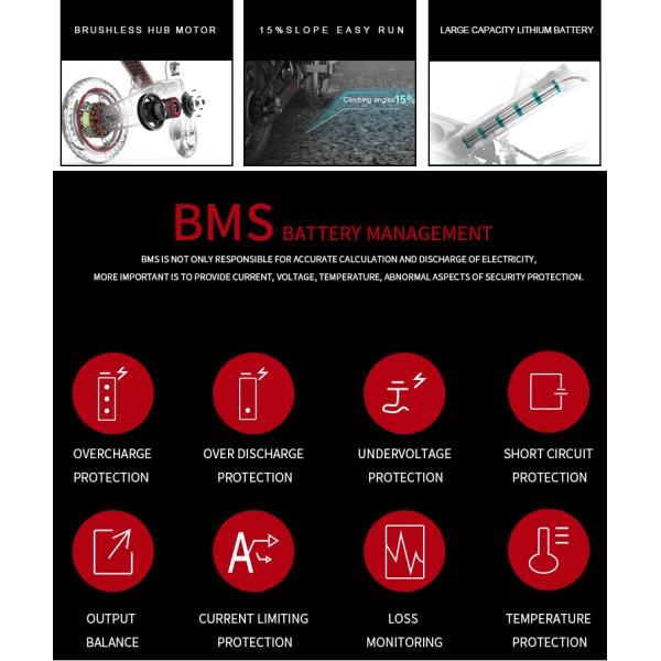Intelligent Adult Folding Electric Bike Leisure Travel Vehicle 25KM/H 7.5AH Battery
