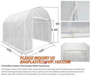 Cheap Easy install greenhouse tomato single-span Plastic Film Green House,Low cost garden green houses for plating, PACKAGES wholesale