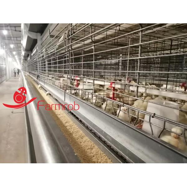 3 Tiers-8 Tiers Poultry Battery Cage System Optimized Consumption Chick Rearing Cage