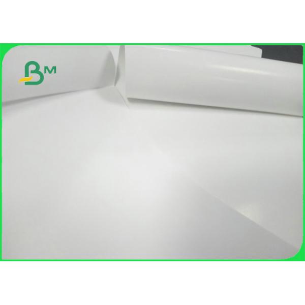 Professional Matte Or Glossy Couche Paper Printing Children Book Illustration