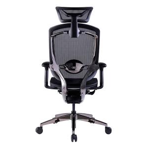 Black Back Support Computer Desk Chair Multifunctional Adjustable Ergonomic
