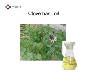 Cheap Asthma Relief 67% Eugenol Clove Basil Oil wholesale