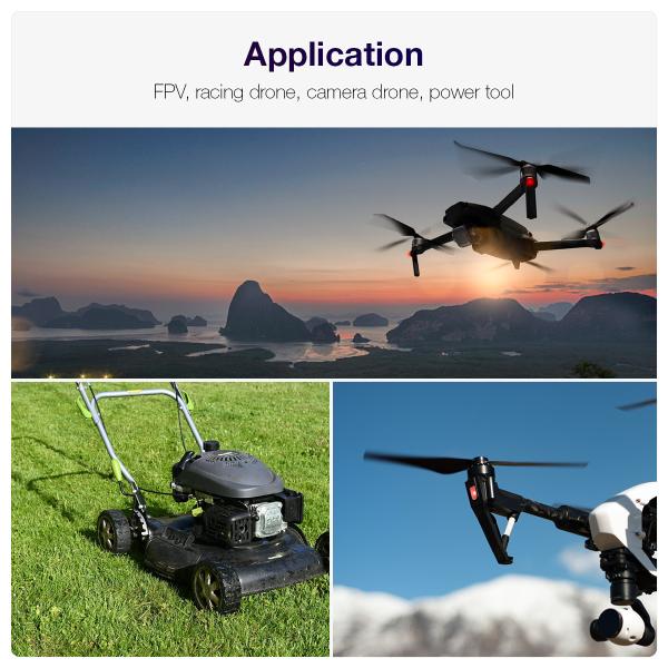 Small Brushless DC Motor Highly Customized 3650 Electric Gear Motor For Power Tool