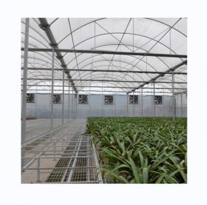 Cheap Multi Span Poly Film Greenhouse for Agriculture Optional Cooling and Irrigation System wholesale