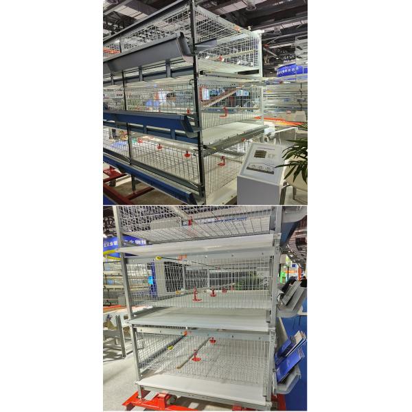 Modern Poultry Battery Cage , SGS 3/4 Floors 150 Broiler Chicken Farming Equipment