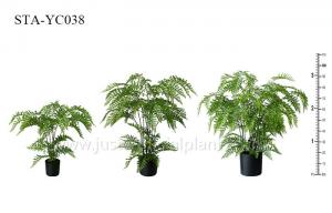 Cheap Greenery Artificial Fern Tree Unprecedented Authenticity Black Potted Plant wholesale