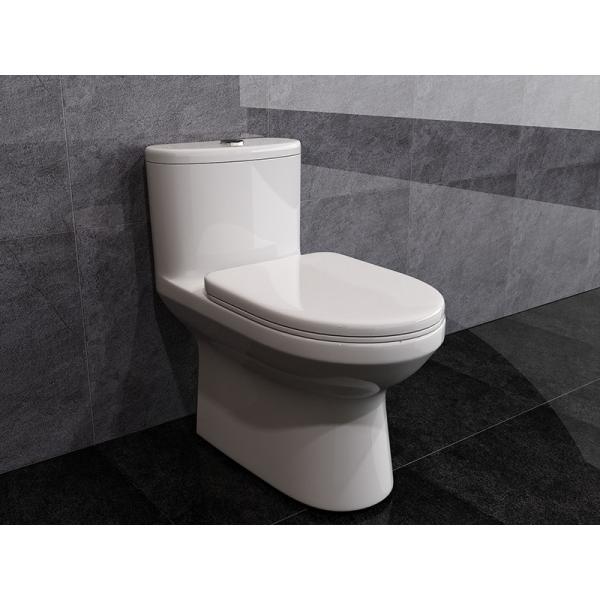 ARROW Washdown 1 One Piece Round Toilet Dual Flush Comfort Height