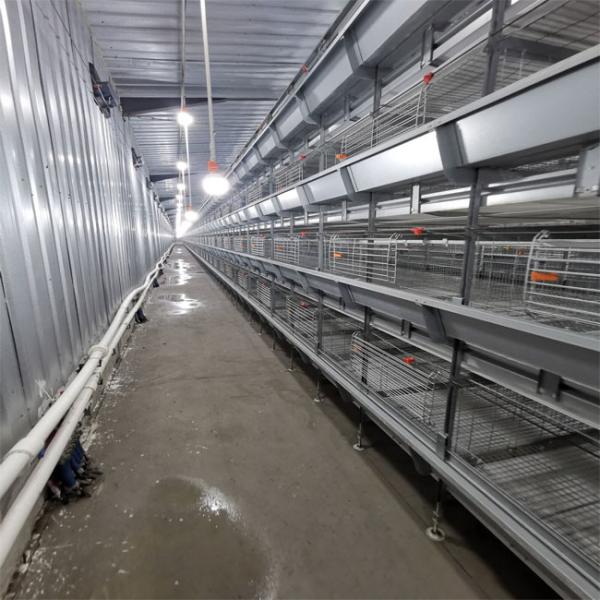 Baby Chicks Broiler Chicken Cage For Chicken Farm