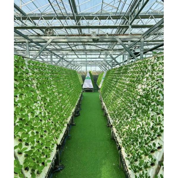 Greenhouse Hydroponics Growing System for Vegetables