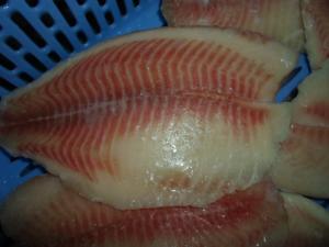 China Thailand Origin Fresh Frozen Seafood / Bulk Frozen Fish Tilapia Fillet on sale