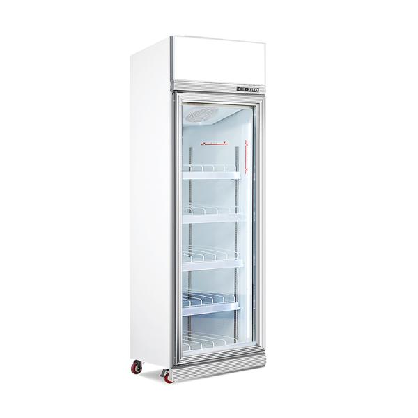 Commercial Supermarket Juice and Drink Display Freezers Upright Cooler with Glass Doors Single-Temperature Cool Climate Type