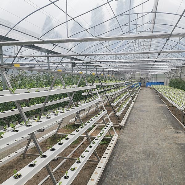 Easy-Assembly Galvanized Poly Multi-Tunnel Green House With Heavy-Duty Plastic Cover