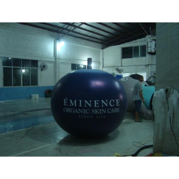 Reuseable 5ft Blueberry Fruit Shaped Balloons For Advertising , Inflatable