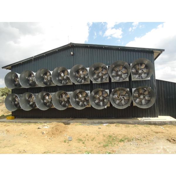 Egg Chicken Poultry Farm 3 Tiers 4 Tiers H Type Automatic Battery System Chicken Layer Cage