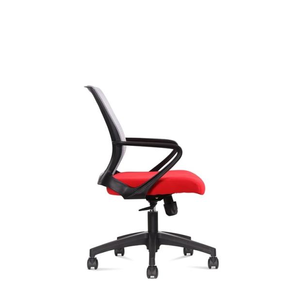 Medium Back Red Ergonomic Mesh Executive Chair, with Lumbar Support put in the office