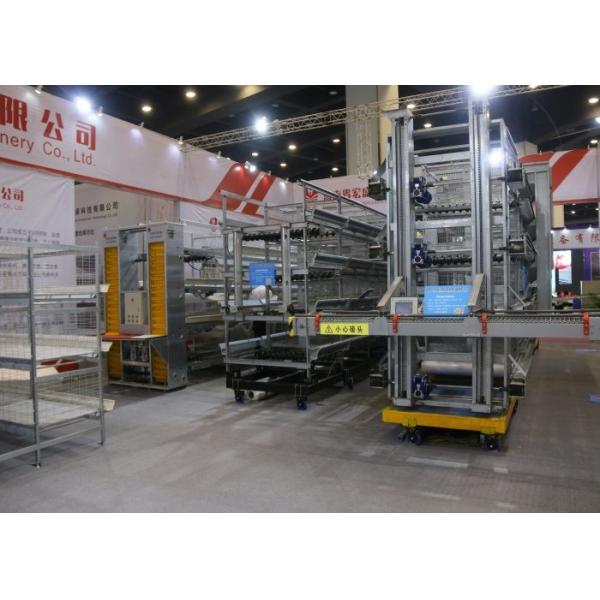 High Efficiency Automatic Egg Collection System / Egg Farm Machinery