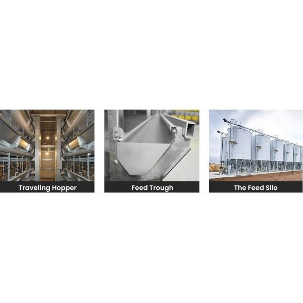 Broiler Farm Plastic Slatted Dung Leaking Board Poultry Slat Floor For Chicken Chick Duck Goose