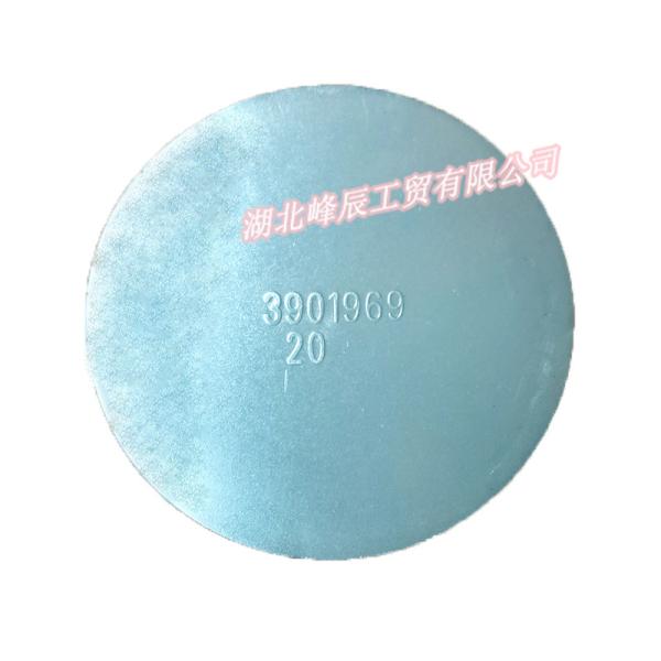 Dongfeng/Dcec Kinland Engine Parts Auto parts for Truck Plug,Expansion C3901969