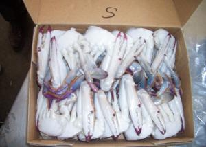 Cheap Portunus Crab Blue Swimming Crab , Half Cutted  Sea Crab Iso Brc Certification wholesale