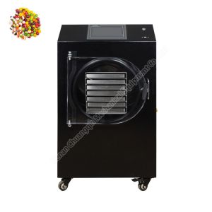 China vacuum freeze dryer /freeze dryer price /freeze dryer machine food on sale