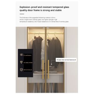 MDF Panel Bedroom Closet Furniture Almirah Cloth Combination Designs