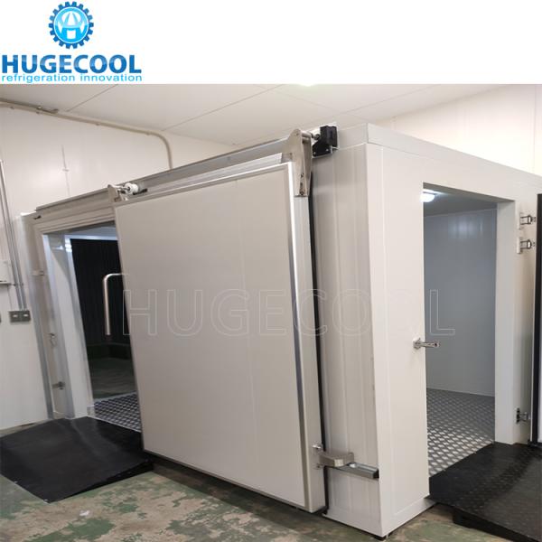 Color Steel Cold Room Sliding Door Walk In Freezer Door