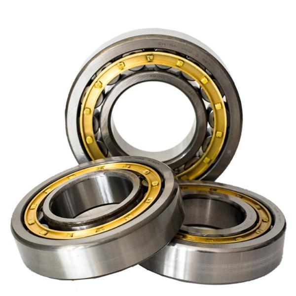 Radial Cylindrical Roller Bearings N216 N218 N220 N200 Series N205 N220