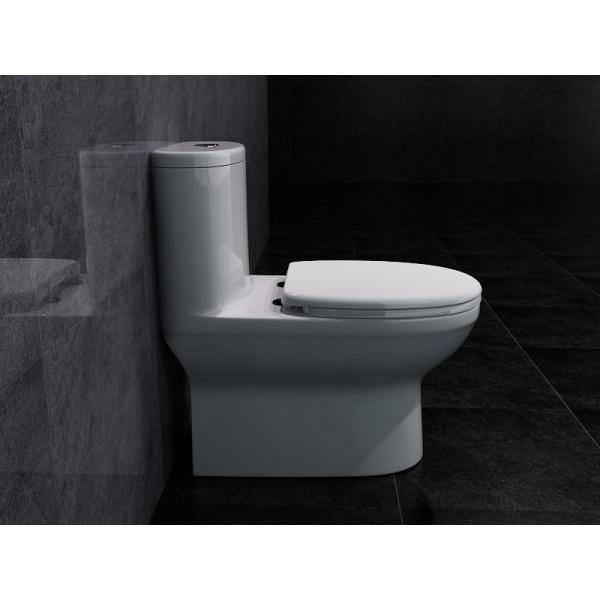 ARROW Washdown 1 One Piece Round Toilet Dual Flush Comfort Height