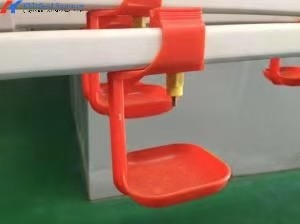 Drinking System Fully Automatic Poultry Drinker , Broiler Chicken Drinker Customized