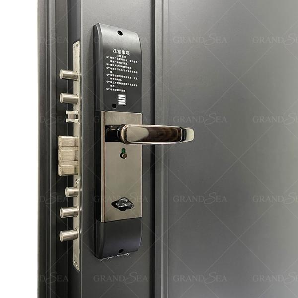 France Style Advanced Stainless Steel Door Good Quality Superior a Class Locksystem Israel Security Door