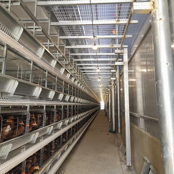 Egg Chicken Poultry Farm 3 Tiers 4 Tiers H Type Automatic Battery System Chicken Layer Cage