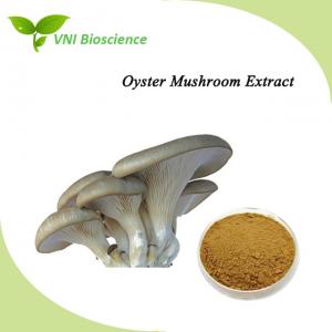China Natural Oyster Mushroom Extract Powder Boost Immunity Kosher Certified on sale