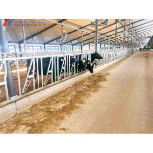 China Steel Cattle Sheds Easy Install Prefabricated Cow Farm Building on sale