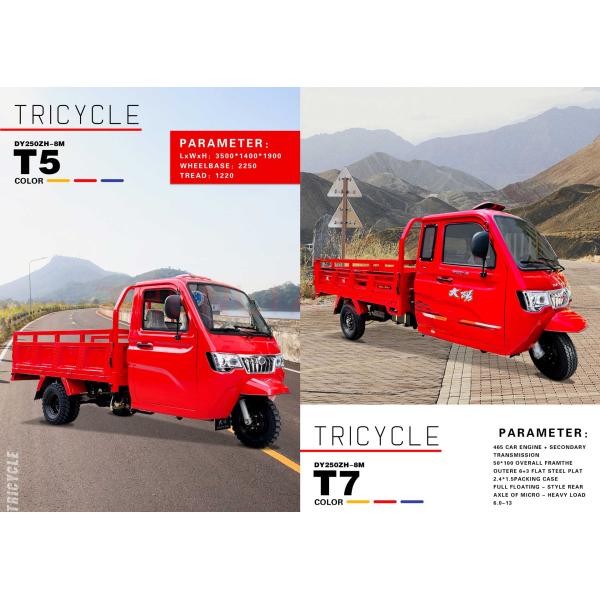 250cc Motorized Special Cabin Roof Delivery Water Tank 1000L Tricycles with Engine