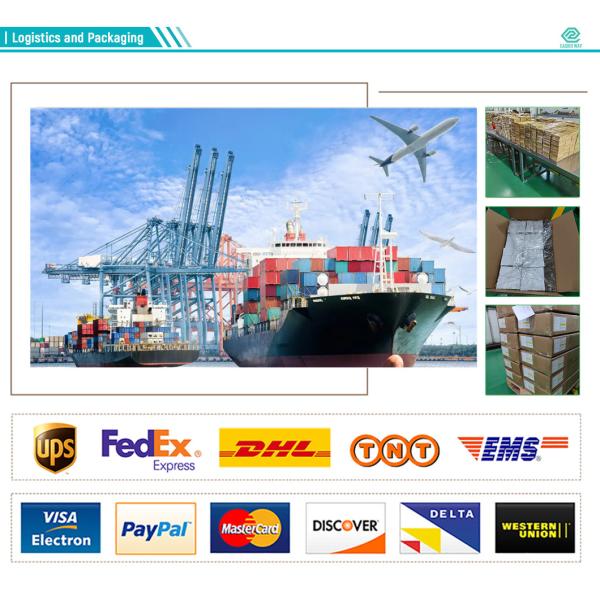 Hospital Sterile 27G Disposable Scalp Vein Set For Iv Access