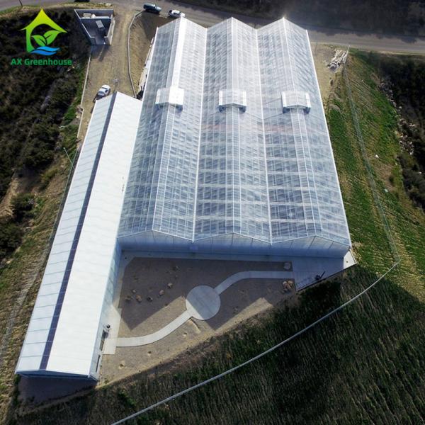Auto Light Deprivation Greenhouse 30ft*100ft Backyard Greenhouse For Vegetables