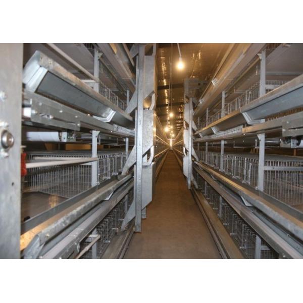 192 Birds Fully Automatic Q235 4 Tiers Chicken Cage