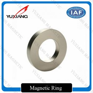 China Industrial Sintered N38 Ring Neodymium Magnet Composite Professional Design on sale