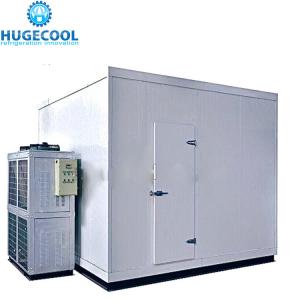 China Walk In Cold Room Freezer on sale