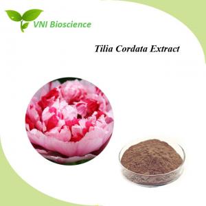 China Natural Tilia Cordata Extract 10:1 4:1 Tilia Cordata Extract on sale