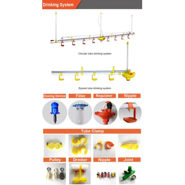 Full Set Drinker Line chicken farm building Automatic Poultry Nipple Drinking System For Chickens