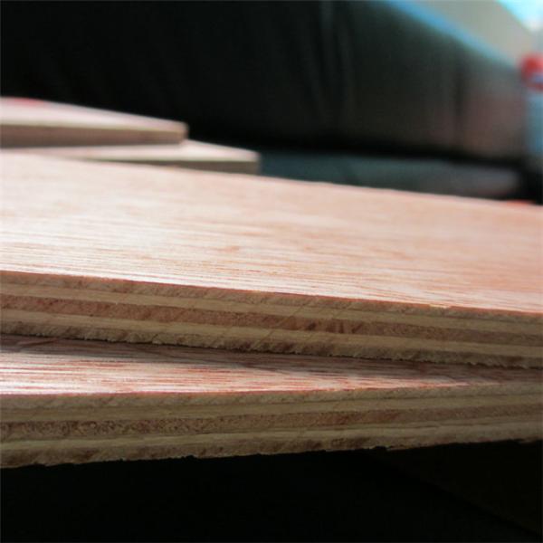 Furniture Moisture Proof 18mm 12mm Bintangor Plywood
