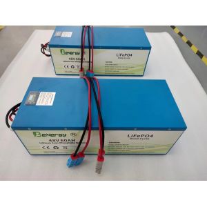 China OEM Golf Cart Lithium Battery 48V 60AH Rechargeable Ev Batteries on sale