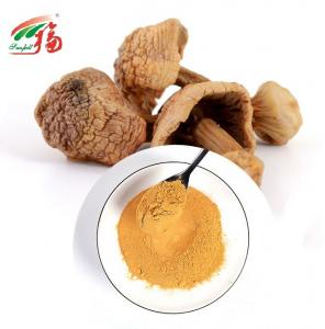 Cheap Agaricus Blazei Mushroom Extract Powder 30% Polysaccharides Pharmaceutical wholesale