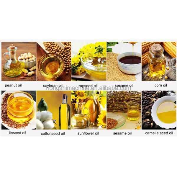 High Return Automatic Food Processing Machine Cocoa / Castor / Baobab Seeds Oil Press Extraction