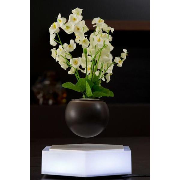 new christmas gift magnetic floating levitation air bonsai potted plant trees