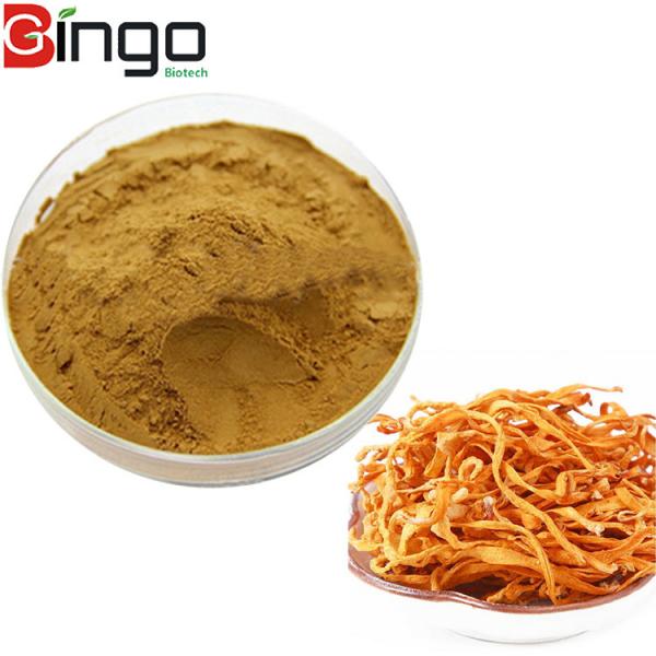 Quality High Quality Natural organic Cordyceps Militaris Extract Powder 10:1 for sale