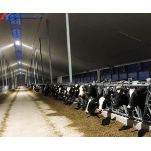Heavy Duty Steel Cattle Buildings Customized Steel Structure Animal Husbandry