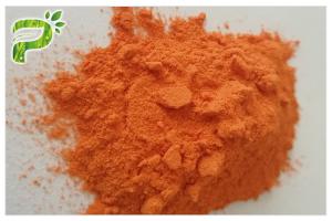 China Eye Health Lutein Marigold Flower Extract , Tagetes Erecta Extract As Diet Supplements on sale