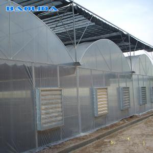 Cheap Commercial Poly Tunnel Greenhouse Automated Agriculture Multi Span Greenhouse wholesale